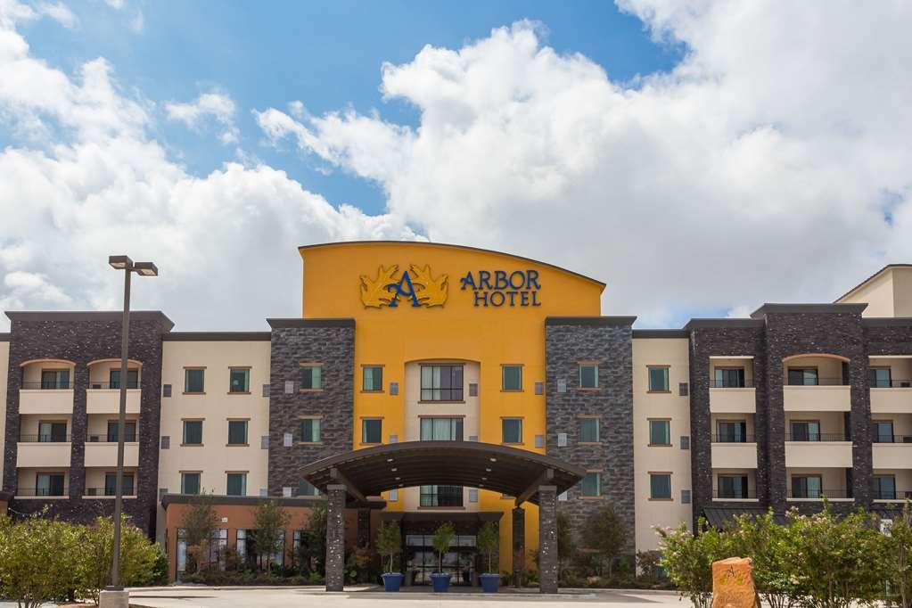 La Quinta Inn & Suites By Wyndham Lubbock Southwest Exterior photo