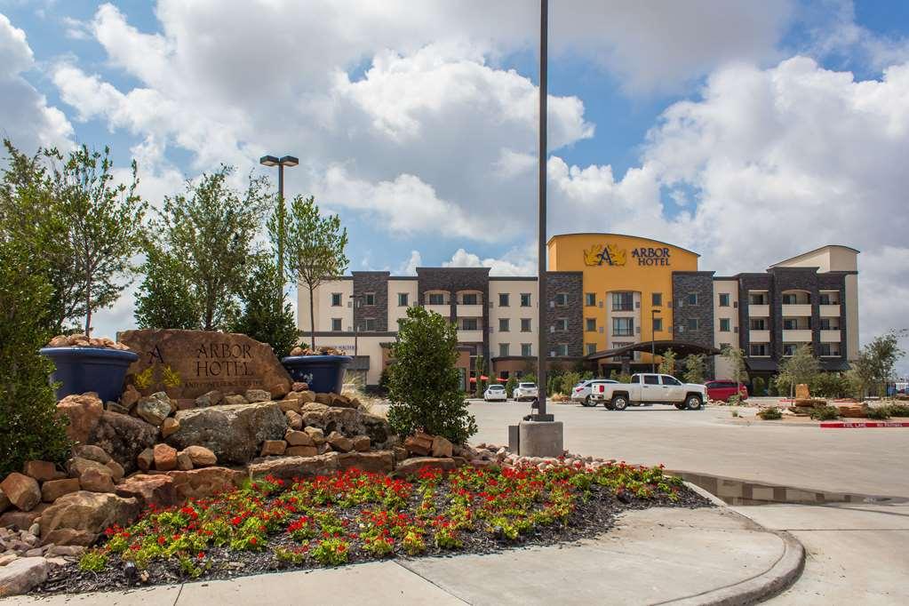 La Quinta Inn & Suites By Wyndham Lubbock Southwest Exterior photo